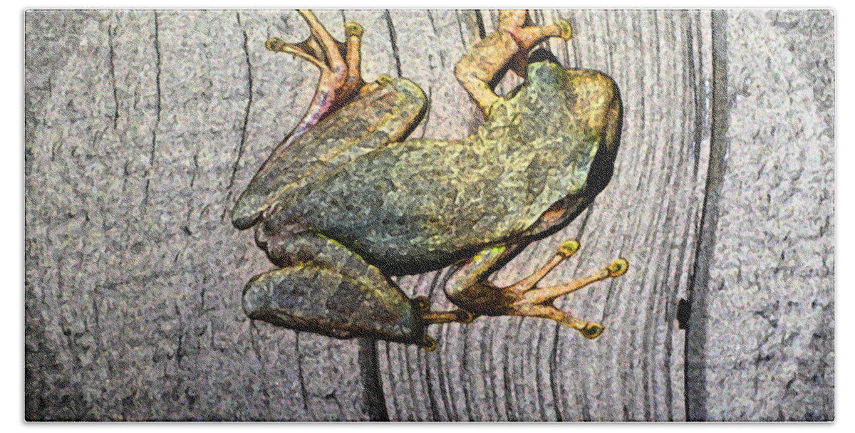 Susan Vineyard Beach Towel featuring the photograph Cudjoe Key Frog by Susan Vineyard