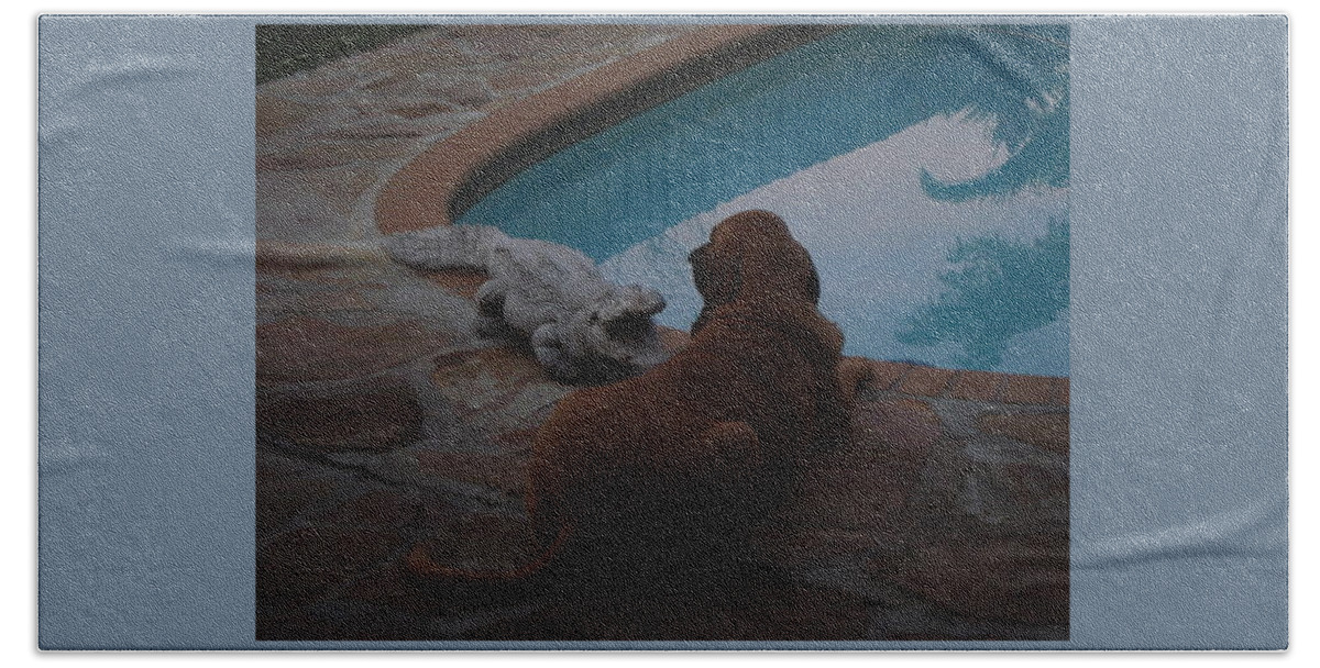 Bloodhound Beach Towel featuring the photograph Cujo and the Alligator by Val Oconnor