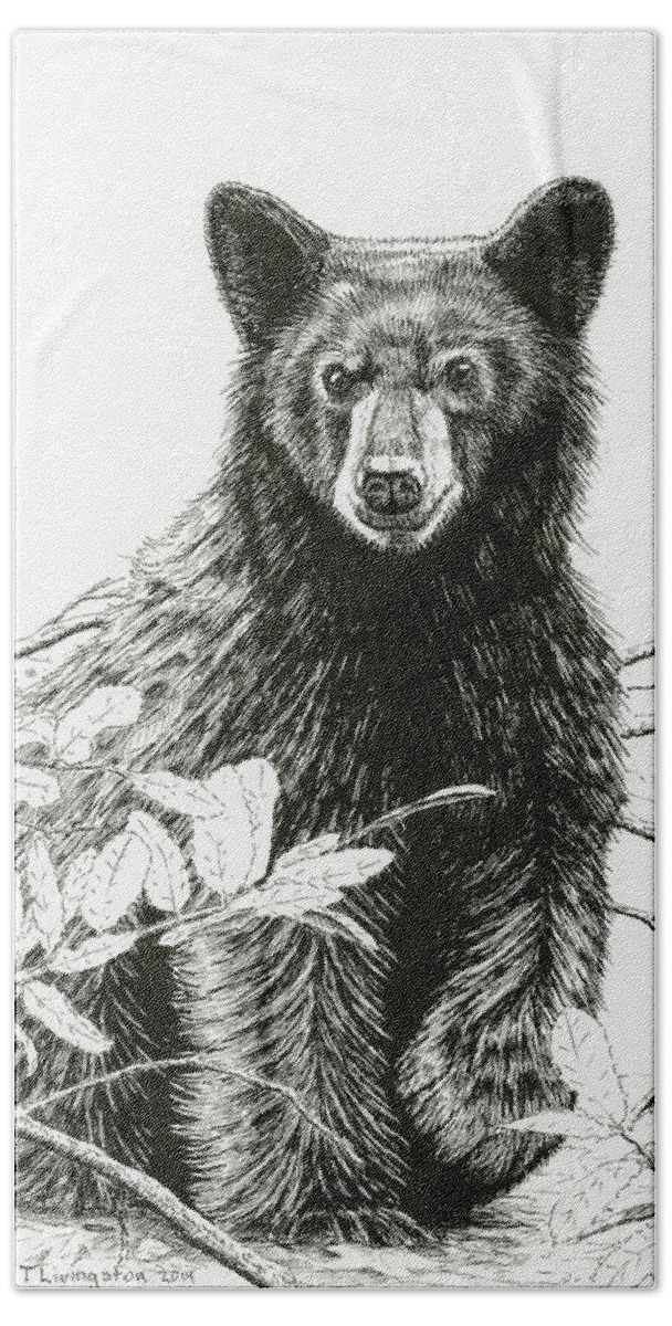Black Bear Beach Sheet featuring the drawing Curious Young Bear by Timothy Livingston