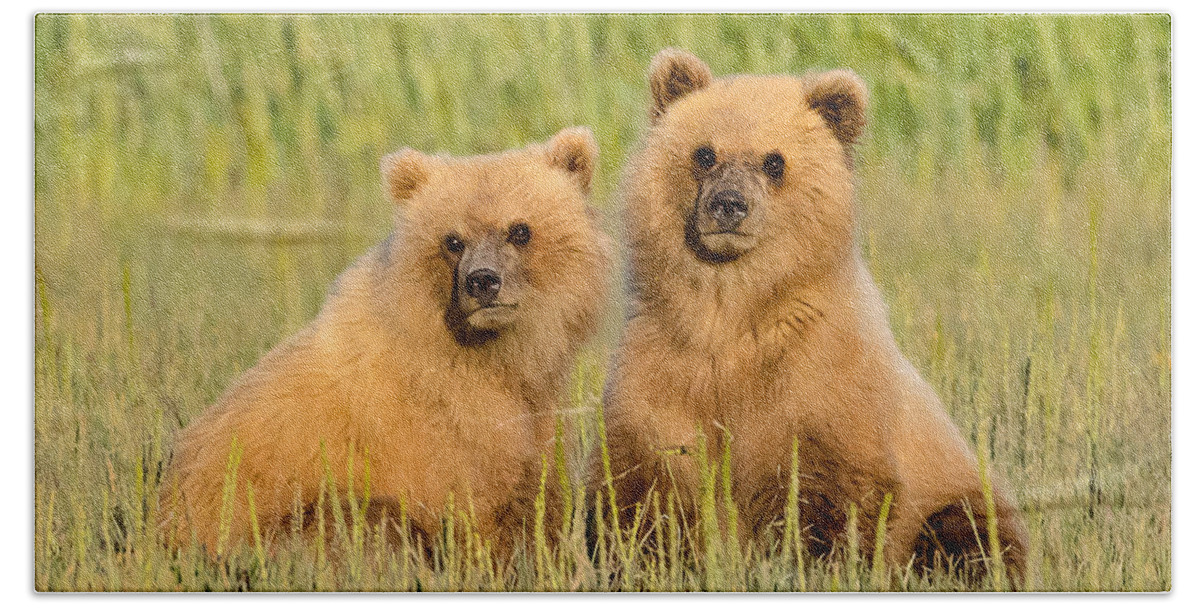 Alaska Beach Towel featuring the photograph Cuteness Squared by Jack Bell
