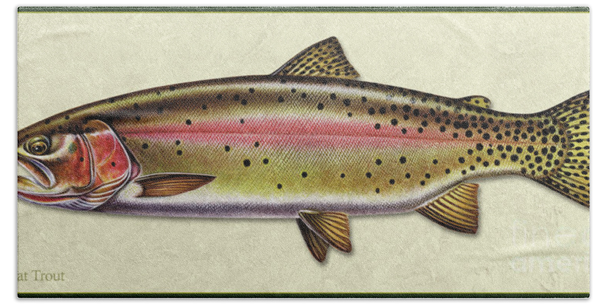 Jon Q Wright Fish Id Print Cutthroat Trout Flyfishing Fly Freshwater Beach Towel featuring the painting Cutthroat trout ID by Jon Q Wright