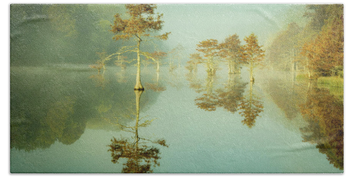 Beavers Bend State Park Beach Towel featuring the photograph Cypress Beauty by Janis Connell
