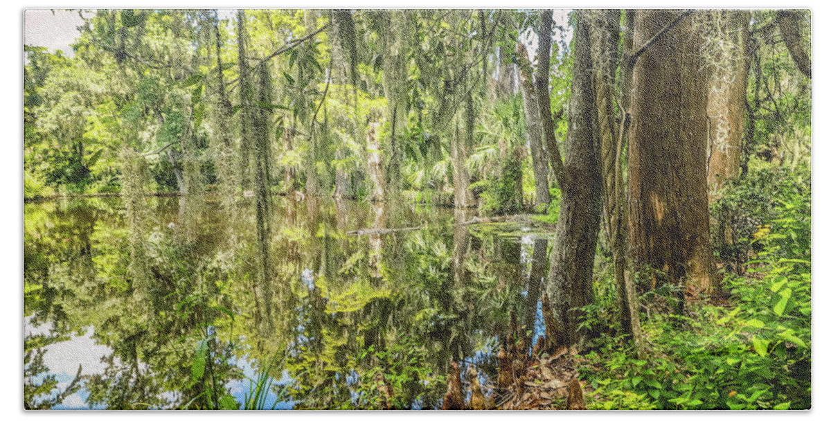 Cypress Beach Towel featuring the photograph Cypress Pond Delight by Dana Foreman