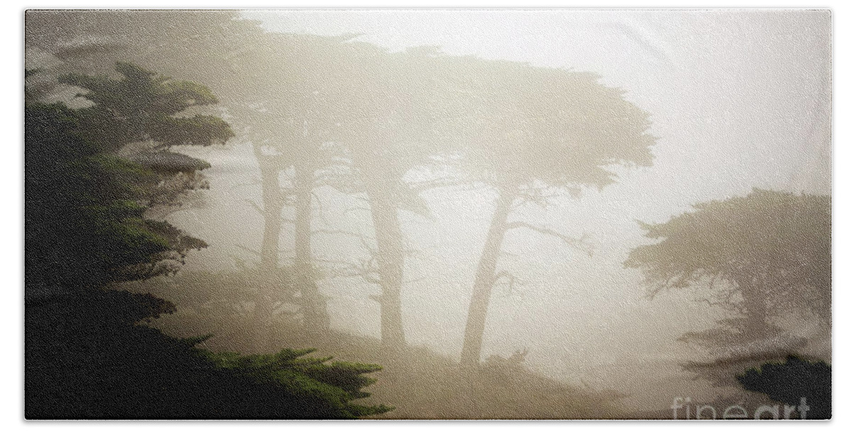 California Beach Towel featuring the photograph Cyprus Tree Grove in Fog by Craig J Satterlee