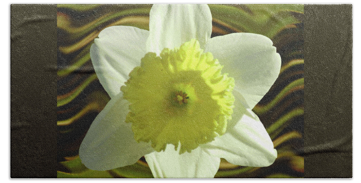 Daffodil Beach Towel featuring the photograph Daffodil Swirl by Alison Stein