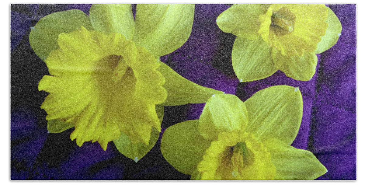 Daffodils Beach Sheet featuring the photograph Daffodils on a Purple Quilt by Tara Hutton