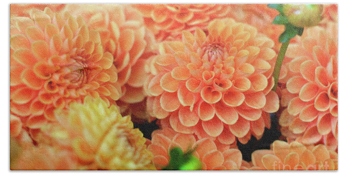 Coral Orange Beach Towel featuring the photograph Dahlia by Bruce Block