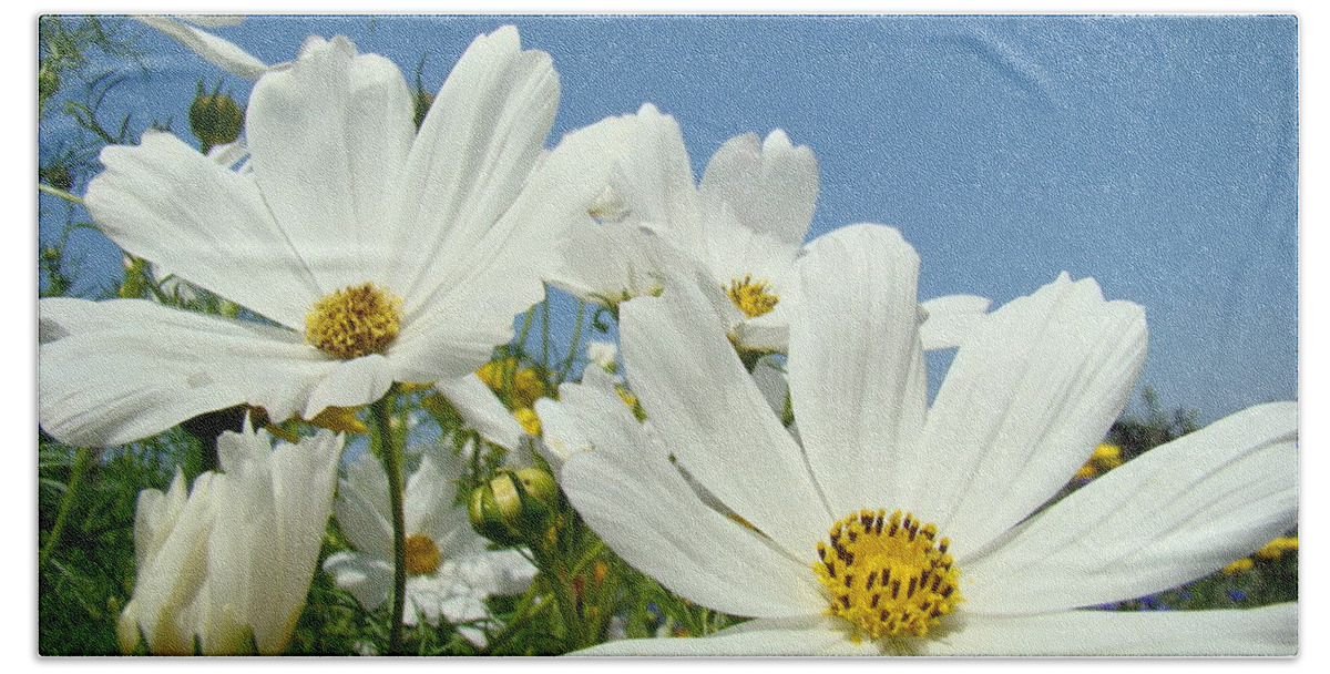 Daisy Beach Towel featuring the photograph DAISIES Flowers Art Prints White Daisy Flower Gardens by Patti Baslee
