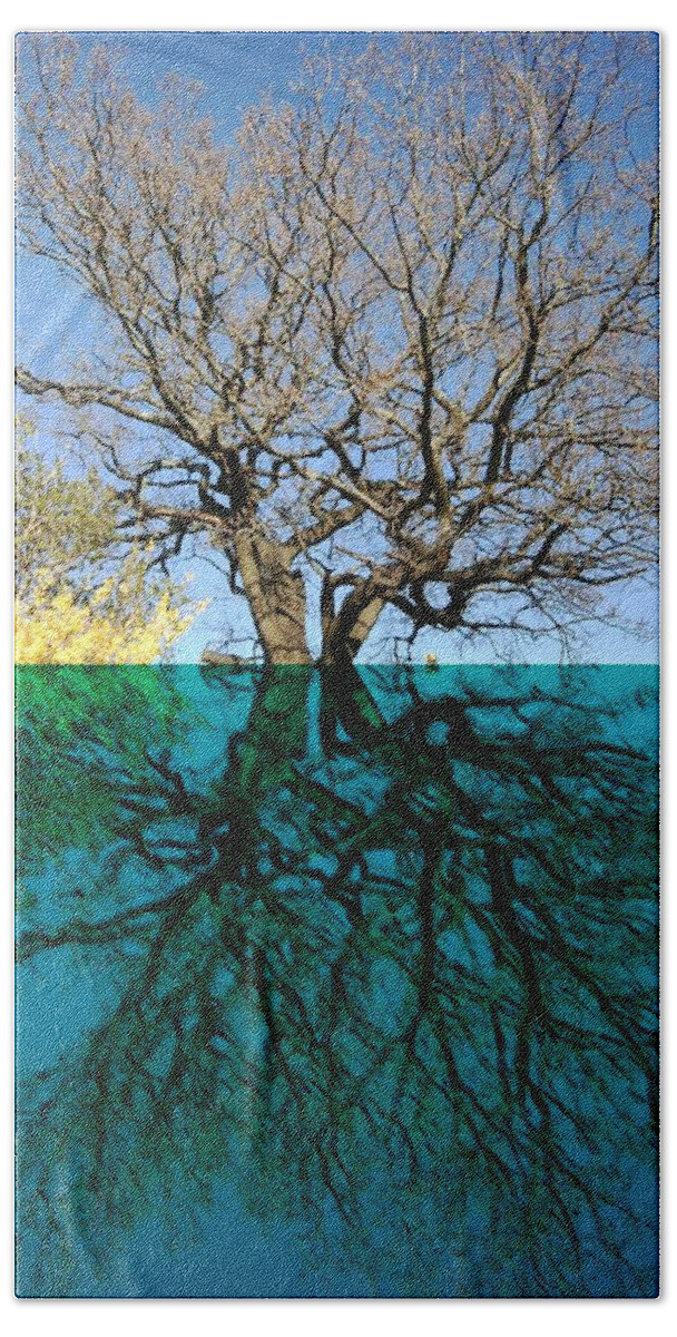 Dancers Beach Towel featuring the mixed media Dancers Tree Reflection by Julia Woodman