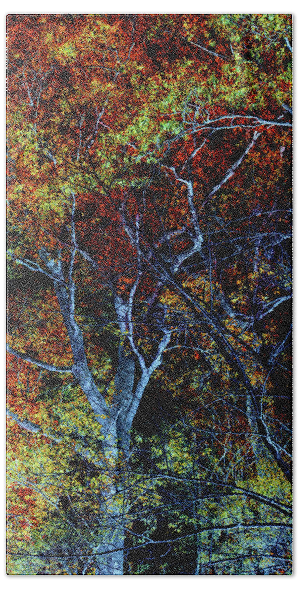 Trees Beach Towel featuring the mixed media Dancing Branches Rust by Lesa Fine