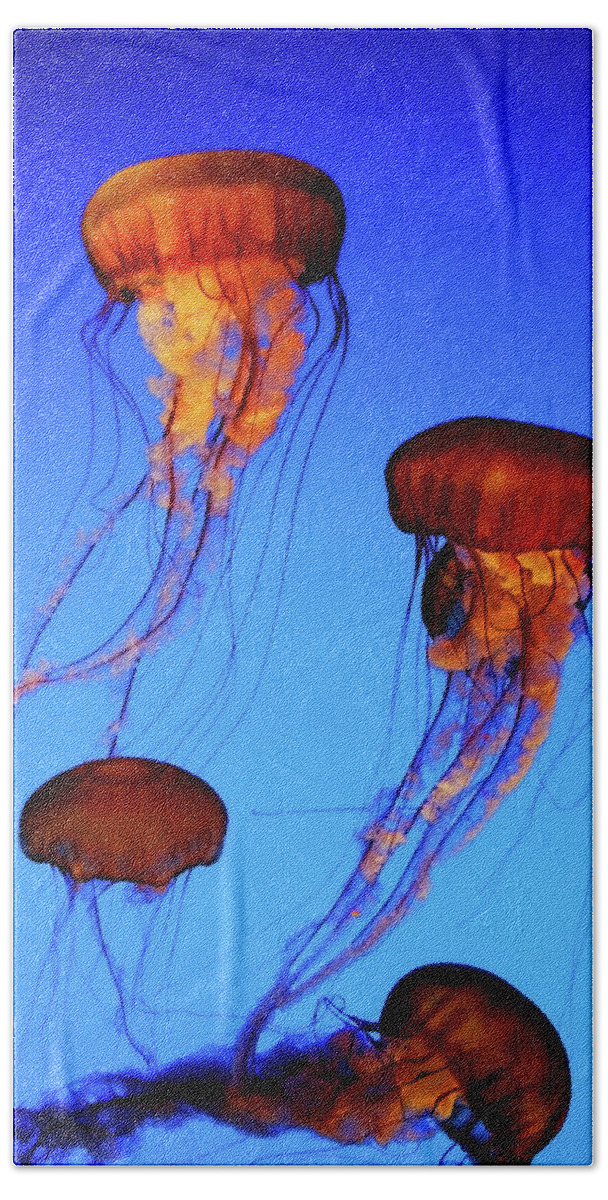 Jellyfish Beach Towel featuring the photograph Dancing Jellyfish by Anthony Jones
