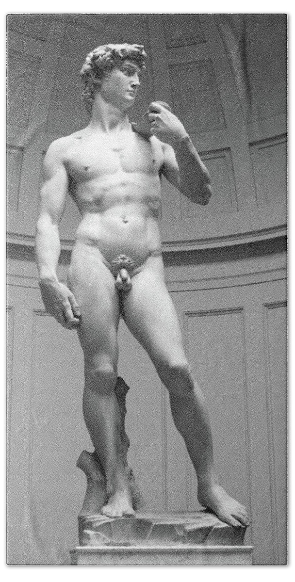 David Beach Towel featuring the photograph David By Michelangelo by Dave Mills