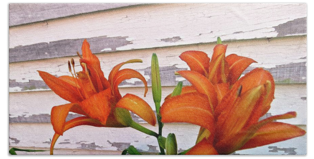 Day Lily Beach Sheet featuring the photograph Day Lilies And Peeling Paint by Nancy Patterson