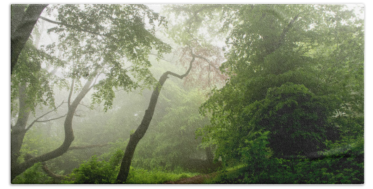 Corstorphine Hill Beach Towel featuring the photograph Daylight through the fog. by Elena Perelman