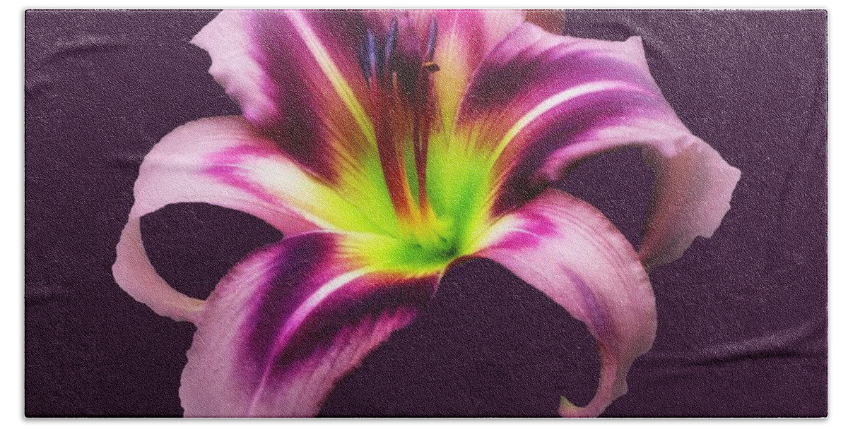 Daylily Beach Towel featuring the photograph Daylily Star by MTBobbins Photography