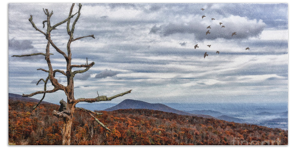 Skyline Drive Beach Towel featuring the photograph Dead Tree At Skyline Drive by Lois Bryan