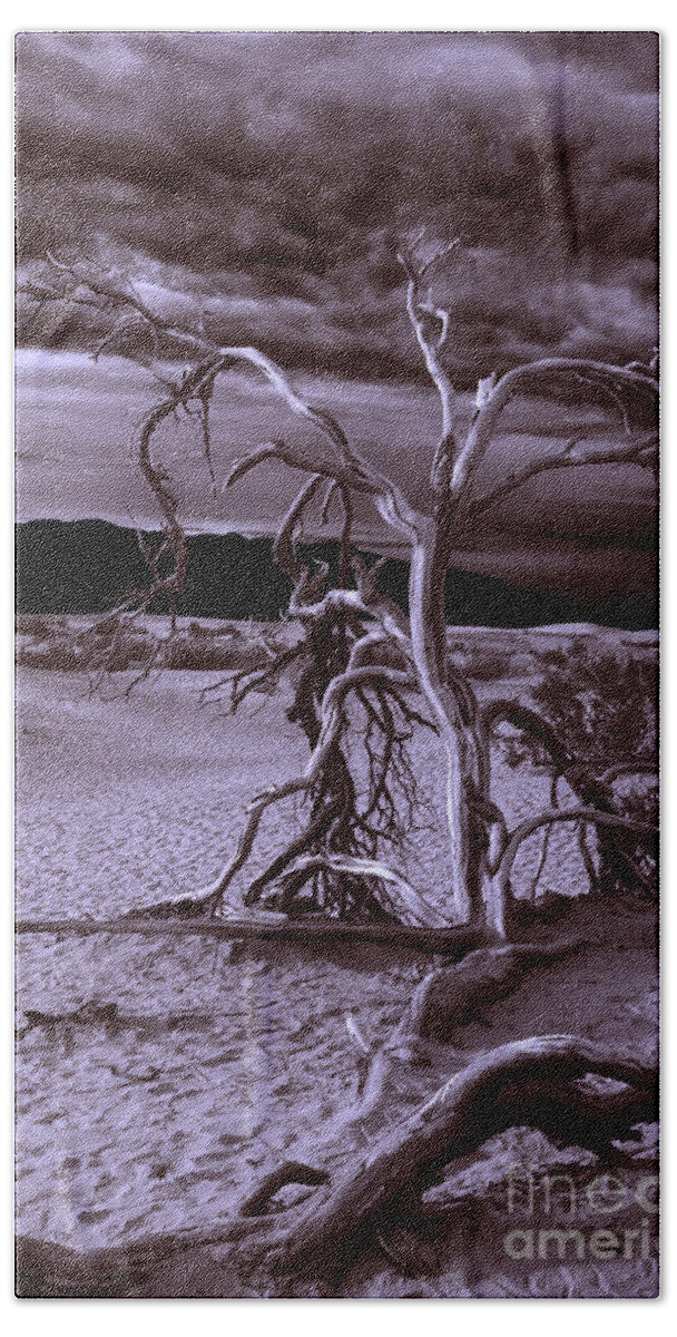 Death Valley Beach Towel featuring the photograph Dead tree in Death Valley 6 by Micah May