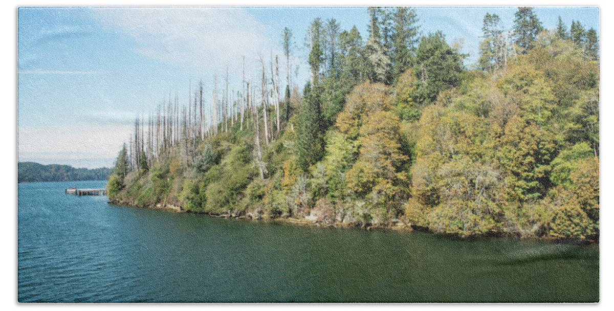 Dead Trees Across The Umpqua River Beach Towel featuring the photograph Dead Trees across the Umpqua River by Tom Cochran