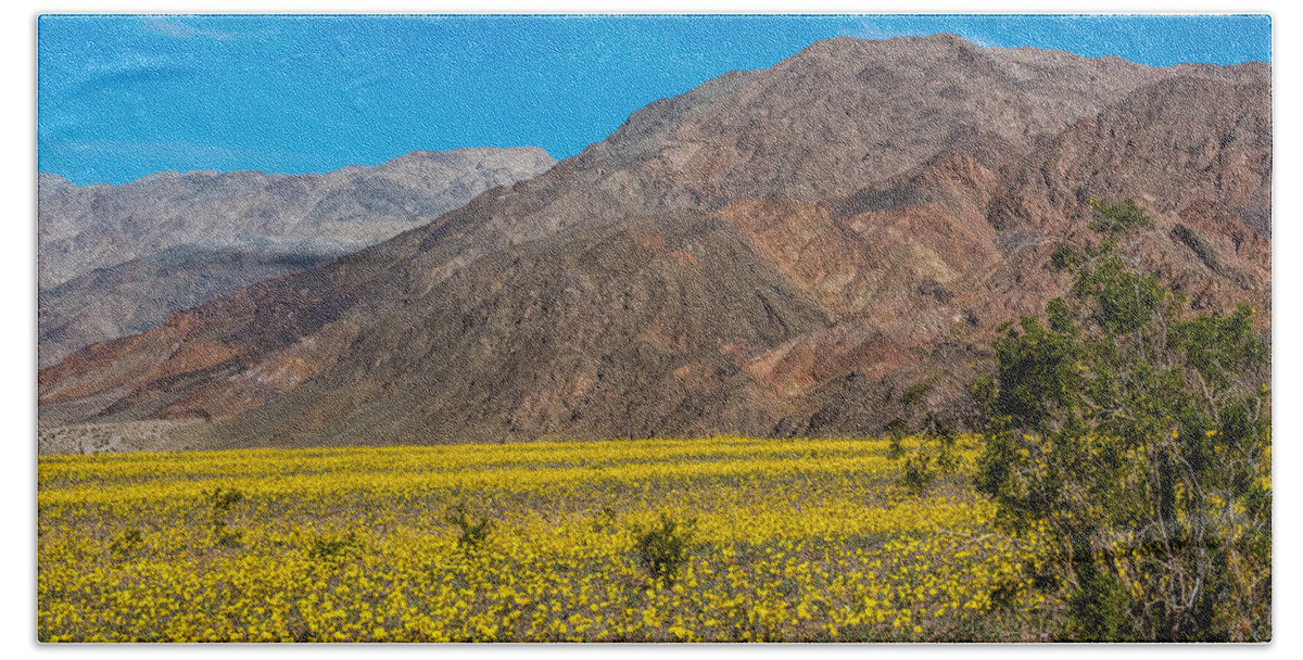 National Park Beach Towel featuring the photograph Death Valley Super Bloom by Paul Freidlund