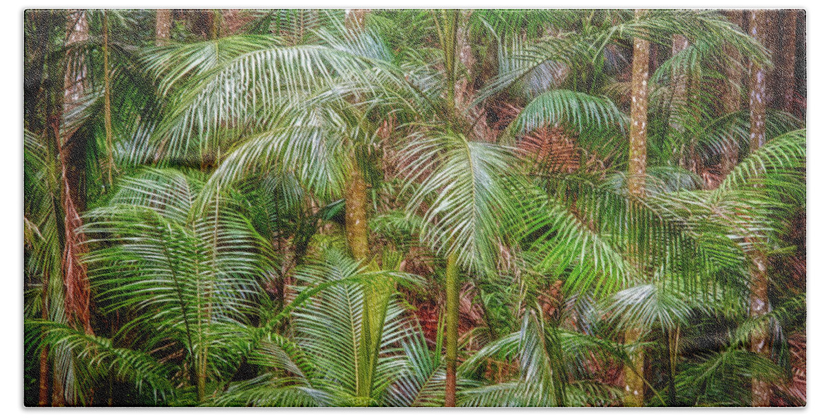 Web-portfolios Beach Sheet featuring the photograph Deep in the Forest, Tamborine Mountain by Dave Catley