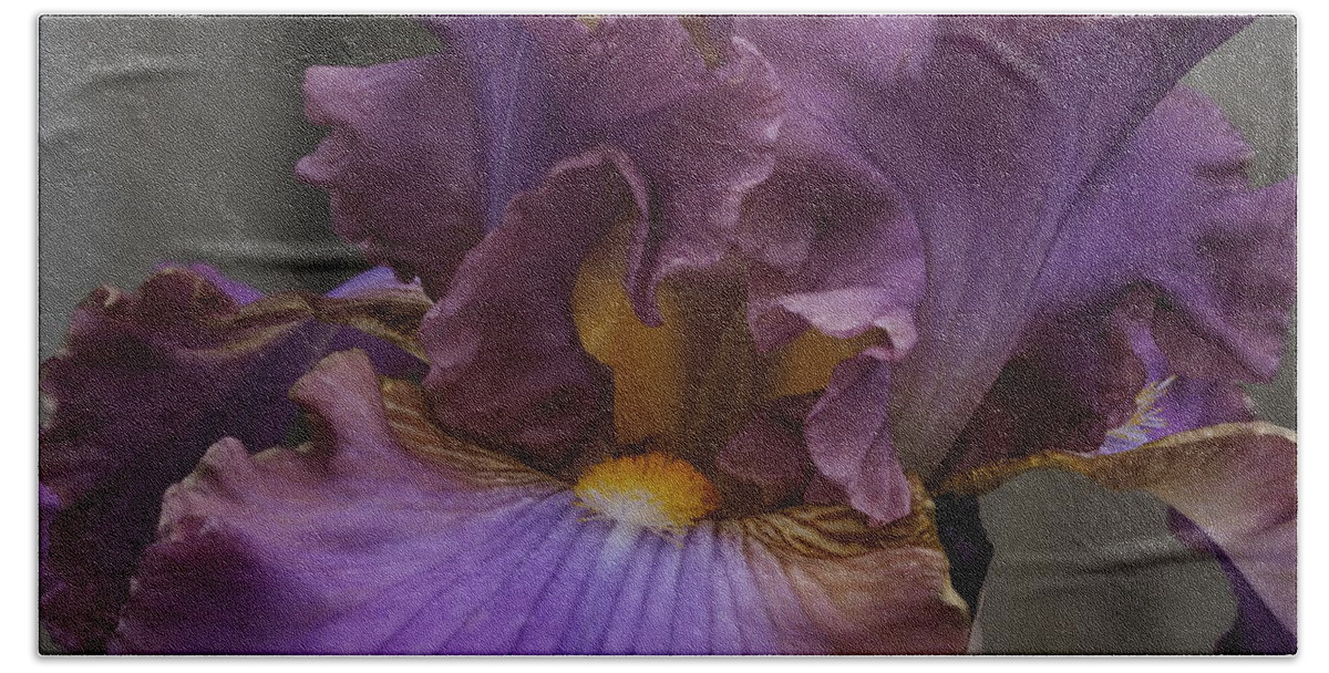 Botanical Beach Towel featuring the photograph Look Into My Iris by Richard Thomas