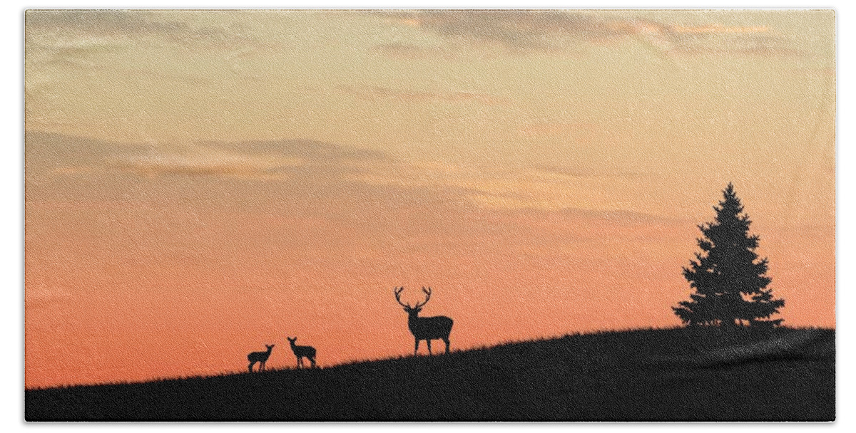 Animals Beach Towel featuring the digital art Deer in silhouette by John Wills