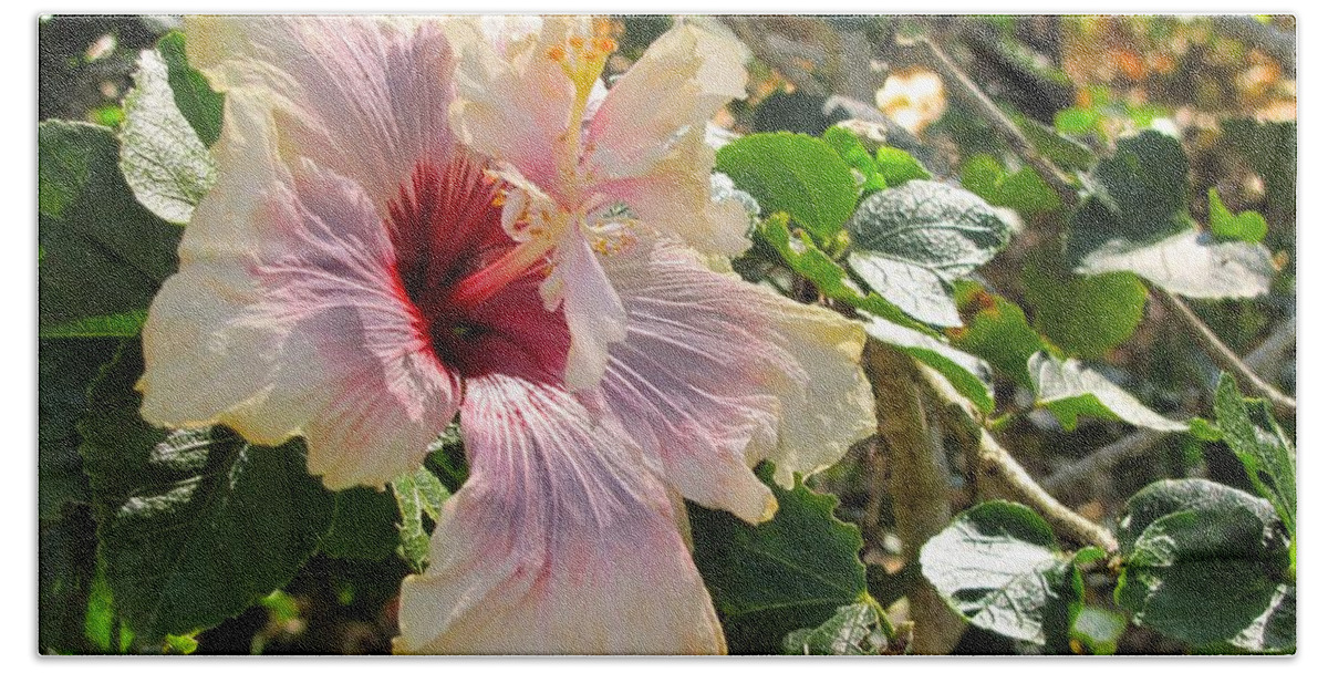 Flower Beach Sheet featuring the photograph Delicate Expression by David Bader