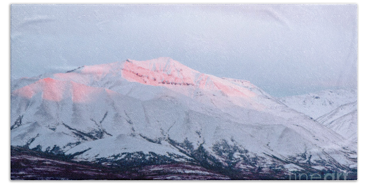 2015 Beach Towel featuring the photograph Denali - Alpenglow 2 by Mary Carol Story