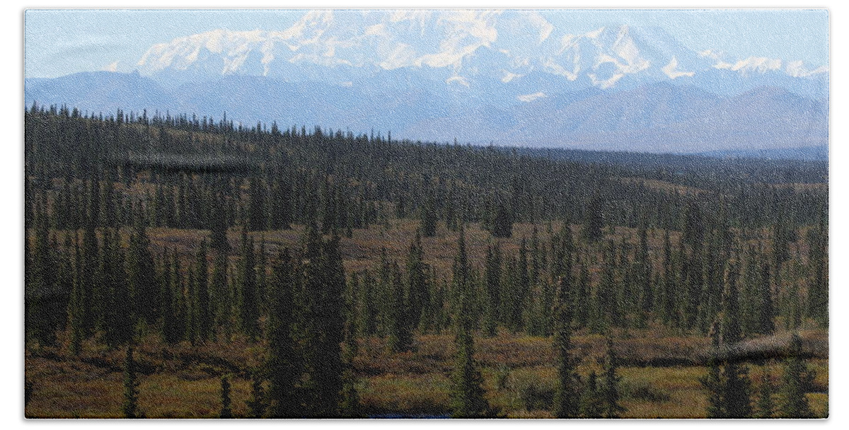 Denali Beach Towel featuring the photograph Denali From The Denali Highway by Steve Wolfe