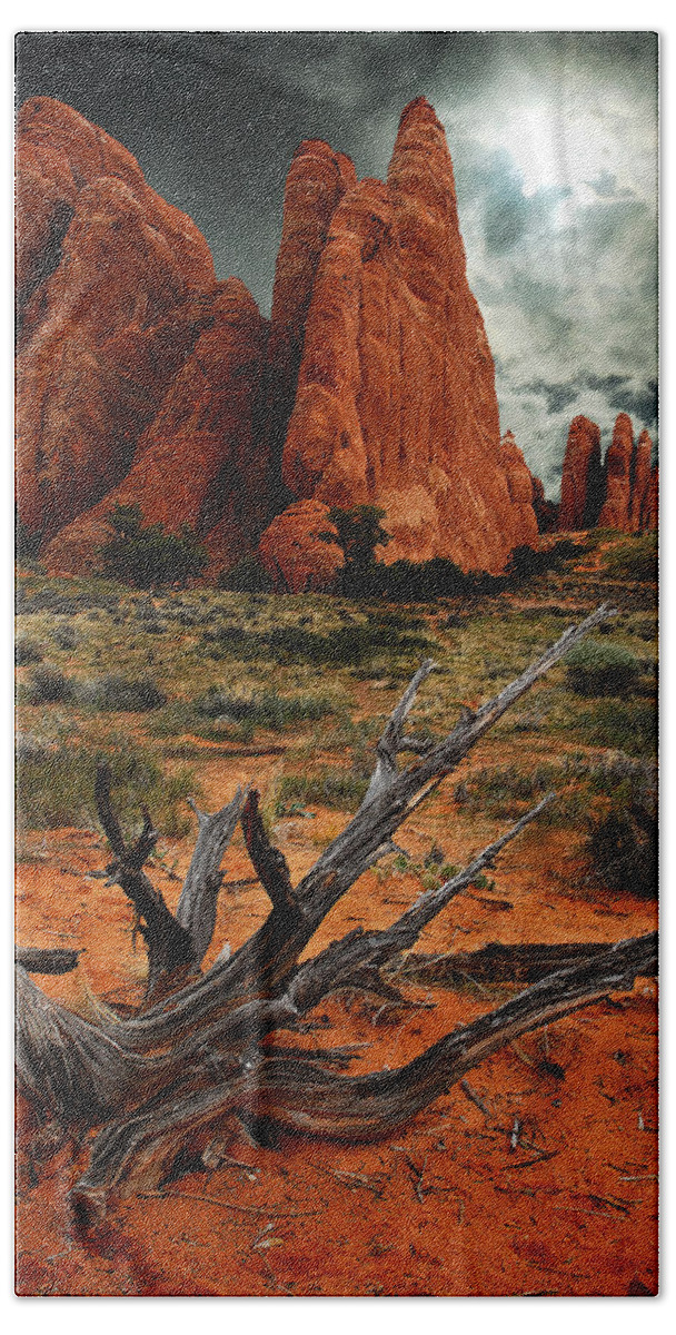 Arches National Park Beach Towel featuring the photograph Desert Floor by Harry Spitz