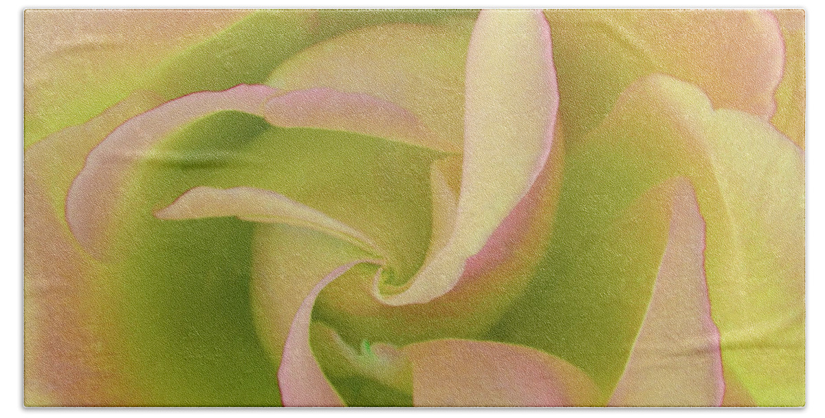 Flowers-roses Beach Sheet featuring the photograph Designer Rose by Scott Cameron