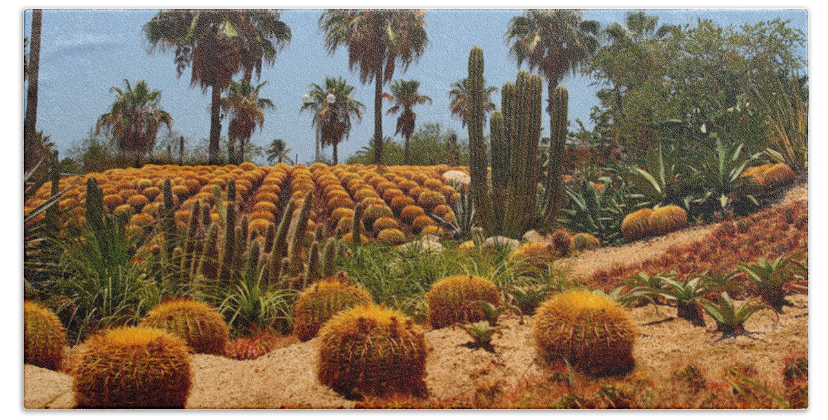 Landscapes Beach Towel featuring the photograph Desrt Garden in San Jose del Cabo by Robert McKinstry