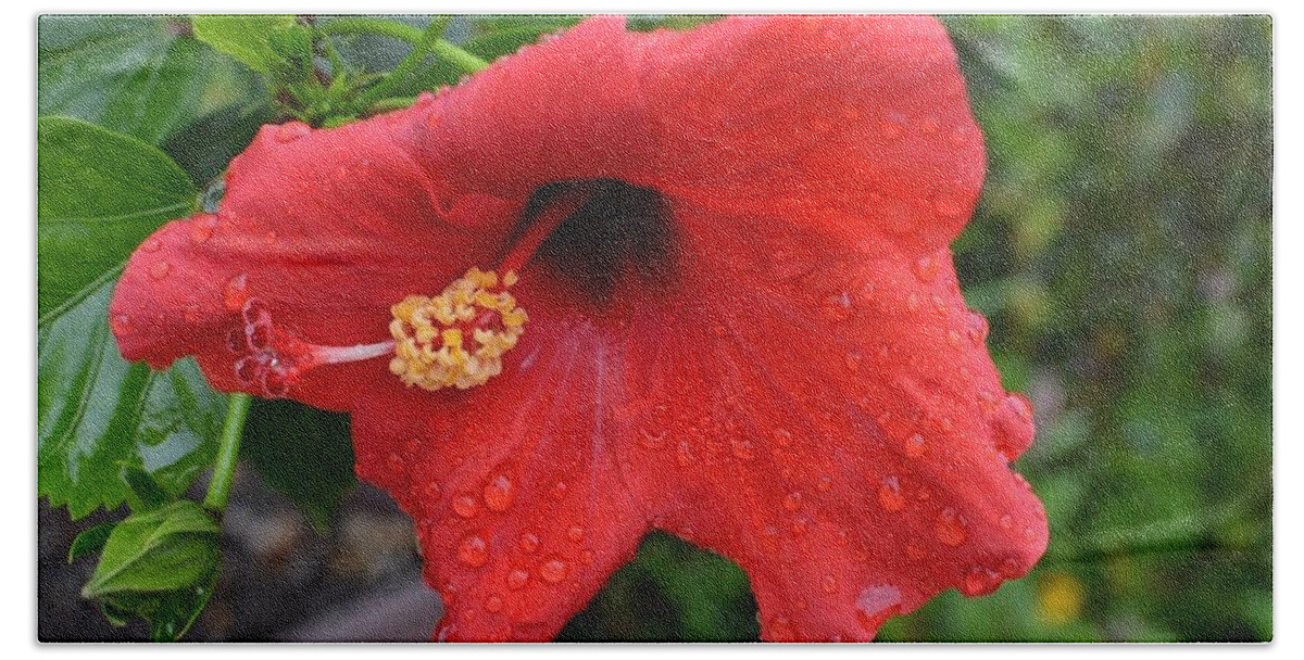 Flowers Beach Towel featuring the photograph Dew on flower by Charles HALL