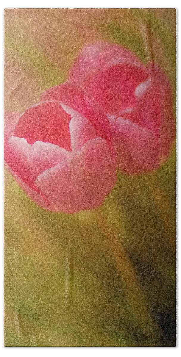 Tulips Beach Sheet featuring the photograph Different Than A Rose by Elvira Pinkhas