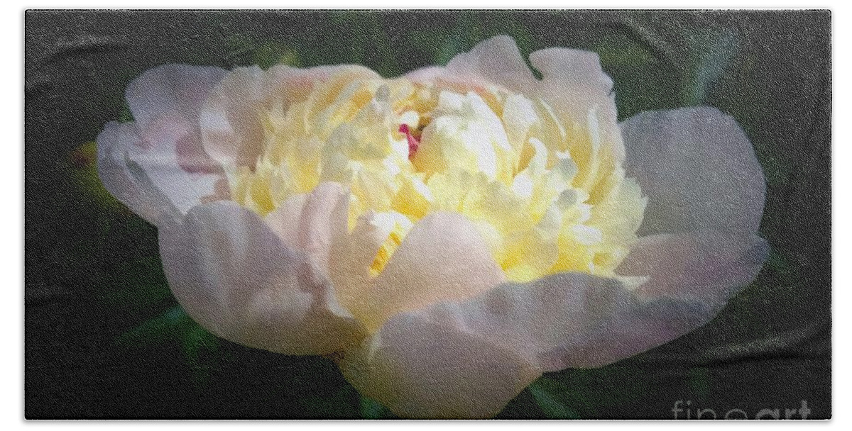 Digital Art Beach Towel featuring the digital art Digital Art White Peony Flower by Delynn Addams