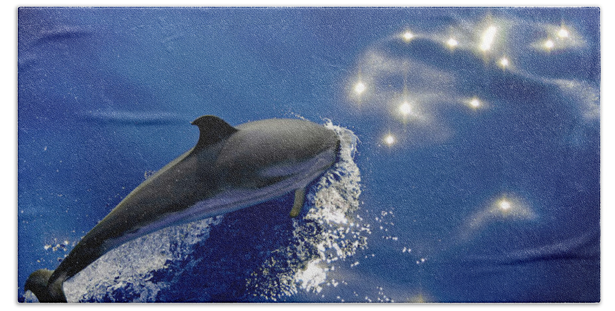 Dolphins Beach Towel featuring the photograph Dive into the blue by Giovanni Allievi