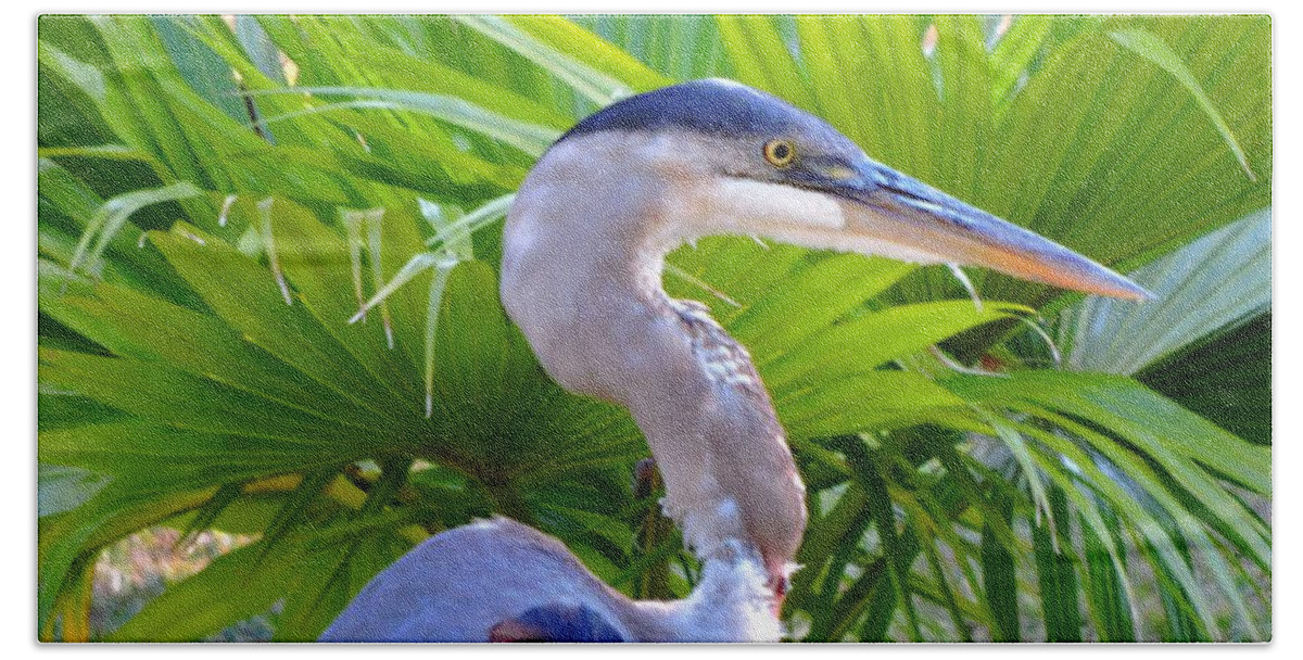 Great Blue Heron Beach Towel featuring the photograph Dixieland Blues by Tami Quigley