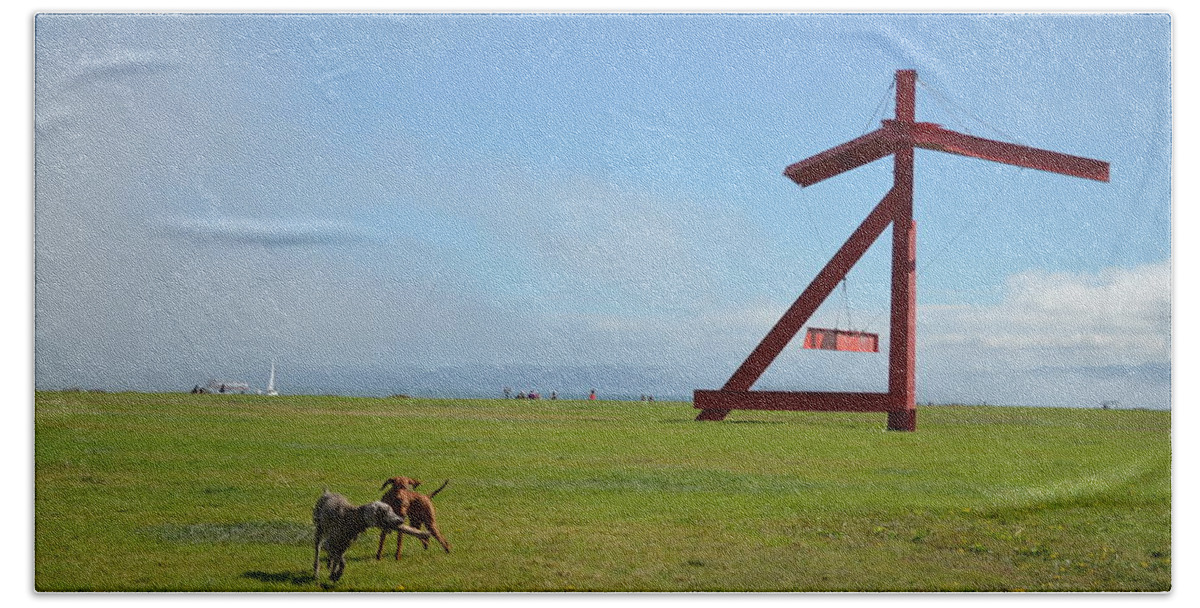 Crissy Field Beach Towel featuring the photograph Dogs at Crissy Field by Erik Burg