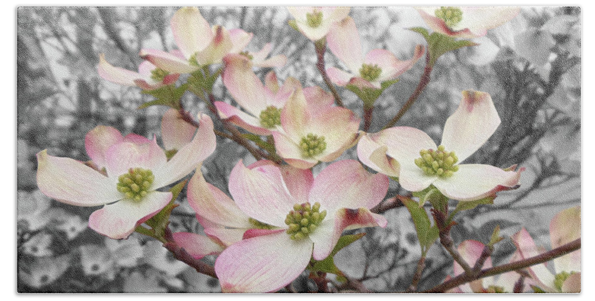 Lemonade Pink Beach Towel featuring the photograph Dogwood by Colleen Cornelius