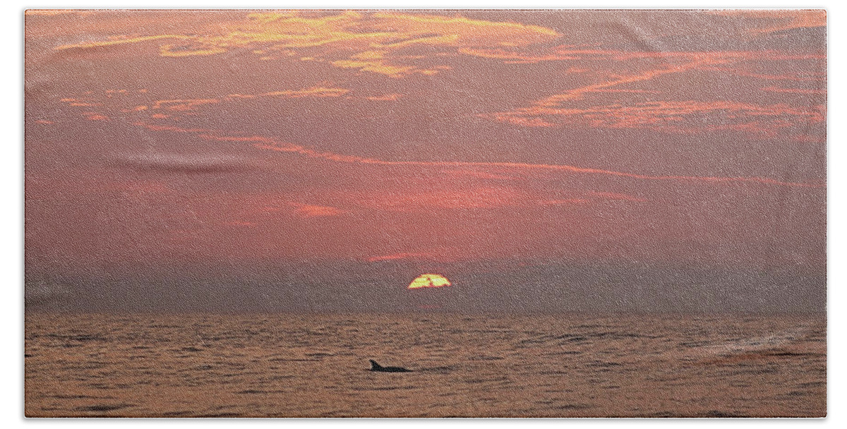 Animal Beach Sheet featuring the photograph Dolphin Swims At Sunrise by Robert Banach