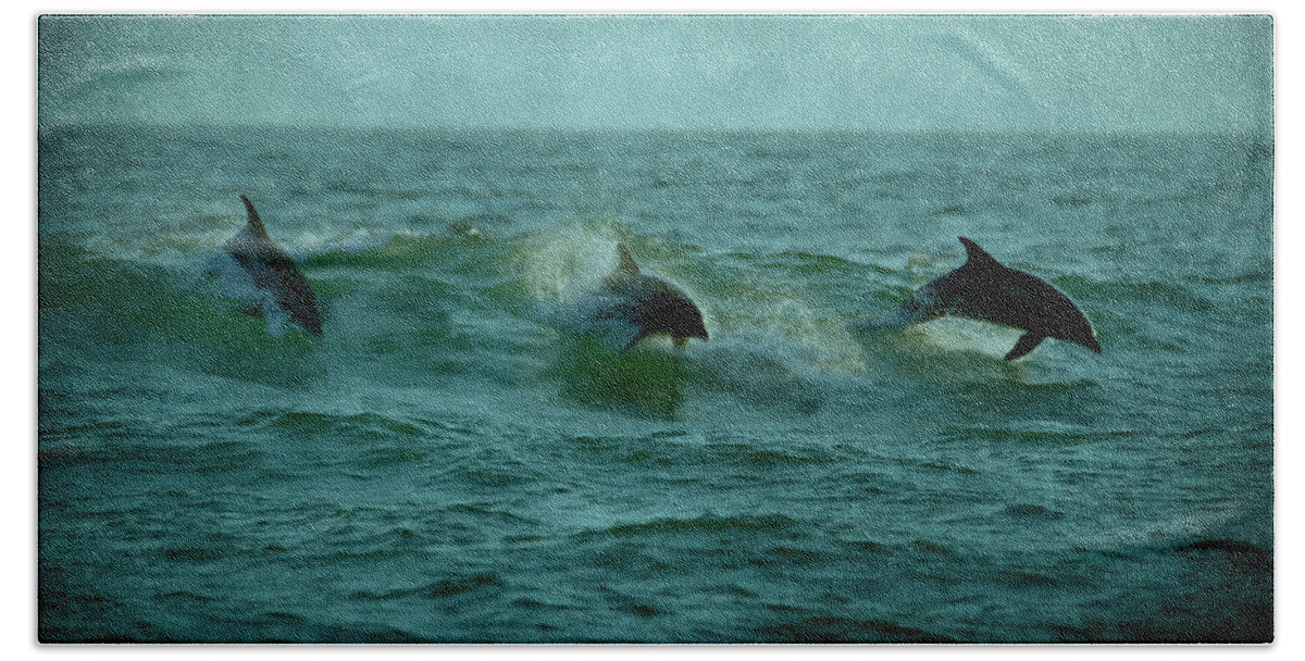 Dolphins Beach Sheet featuring the photograph Dolphins by Sandy Keeton
