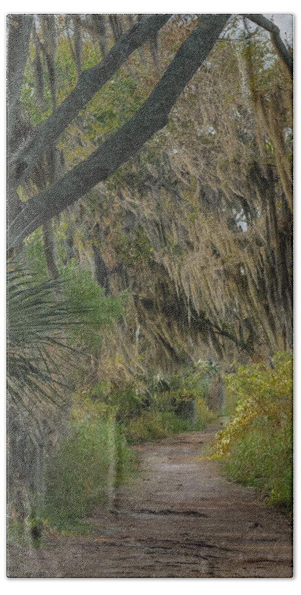 Circle B Bar Reserve Beach Towel featuring the photograph Down the path by Jane Luxton