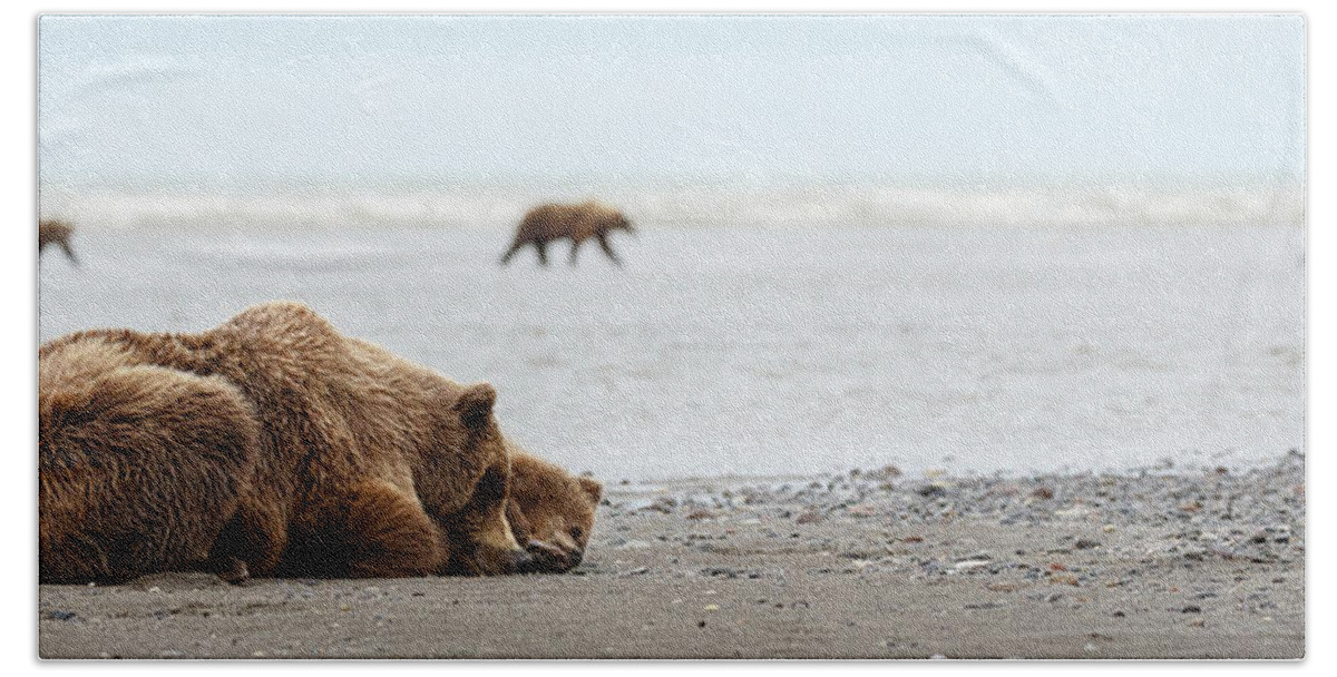 Lake Clark National Park Beach Towel featuring the photograph Down Time by Ann Skelton