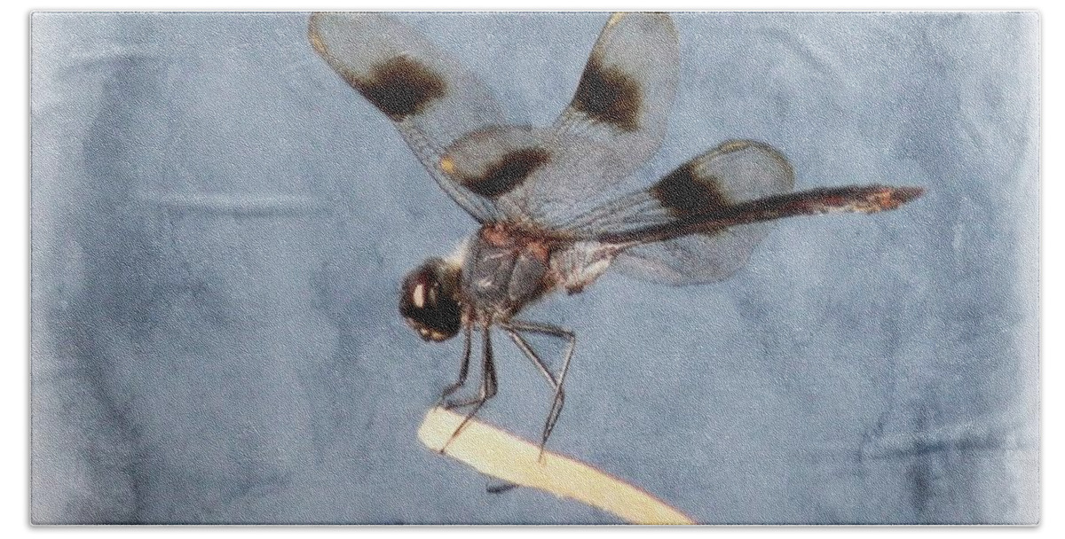 Dragonfly Beach Towel featuring the painting Dragonfly On Edge by Barbara Chichester