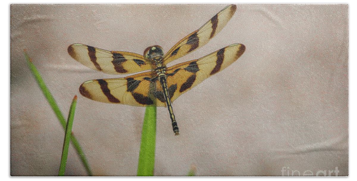 Dragonfly Beach Towel featuring the photograph Dragonfly on Grass by Tom Claud