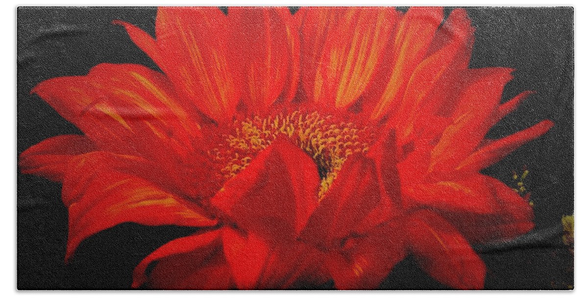 Flower Beach Towel featuring the photograph Dramatic in Red   Gerbera Daisy by Margie Avellino