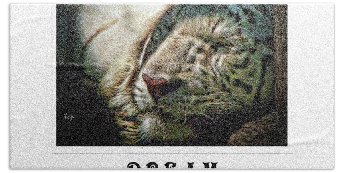Tiger Beach Sheet featuring the photograph Dream Bigger by Traci Cottingham