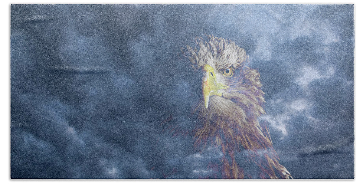 Eagle Beach Towel featuring the photograph Dreaming of the Sky by Kuni Photography
