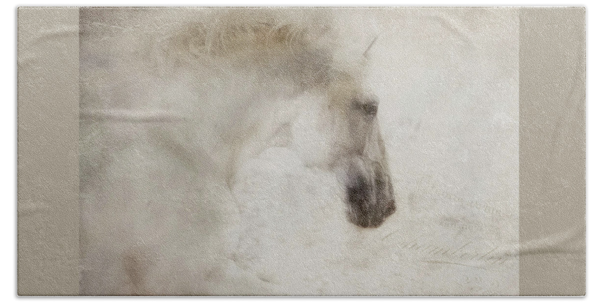 Classical Horses Beach Towel featuring the photograph Dreams by Pamela Steege