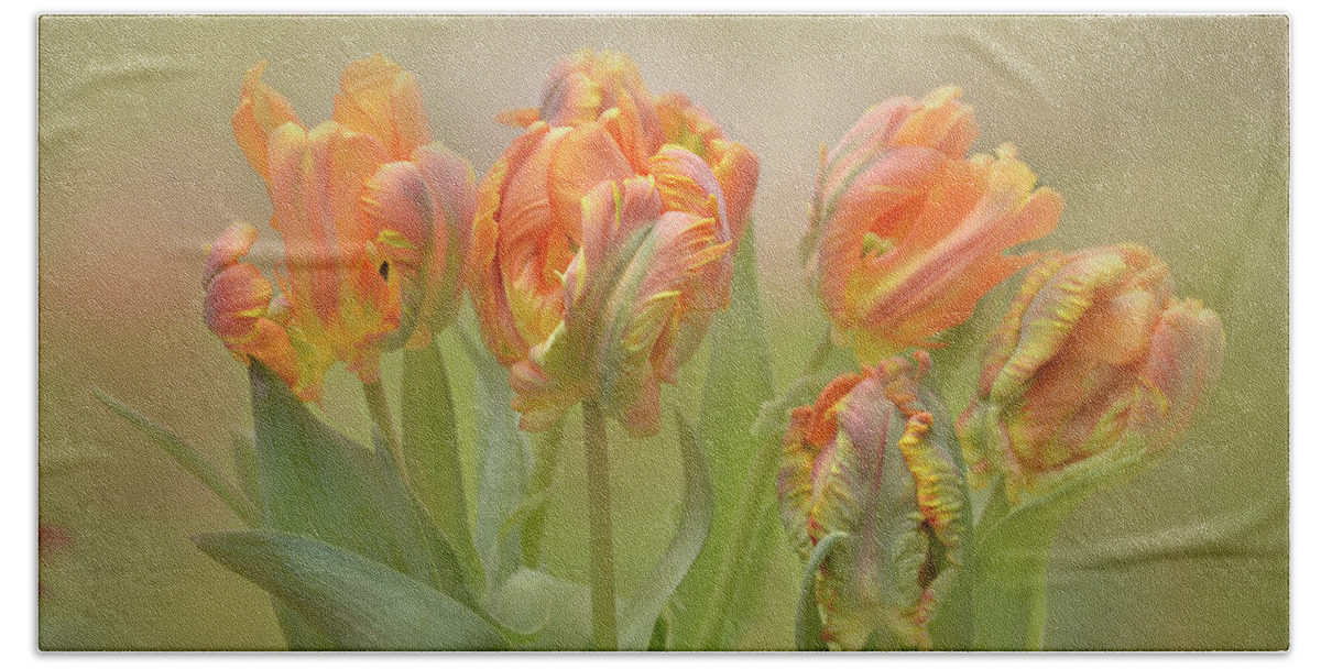 Abstract Beach Towel featuring the photograph Dreamy Parrot Tulips by Ann Bridges